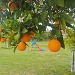 Apartmán Secret Garden τemeni *