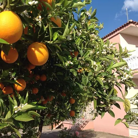 Secret Garden τemeni Апартаменты *