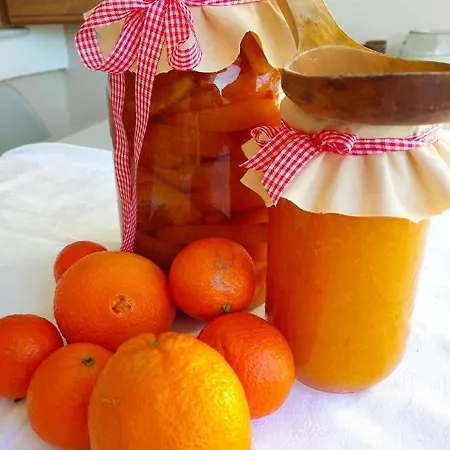 Secret Garden Apartament Ejo