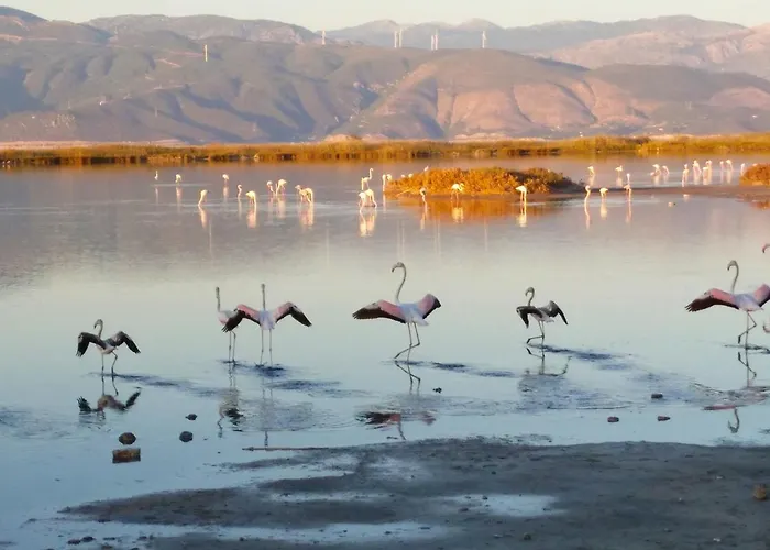 Secret Garden τemeni *