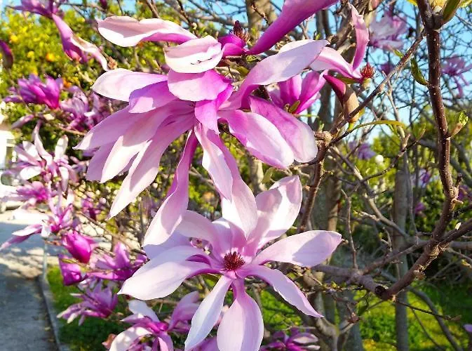 Secret Garden τemeni Égio