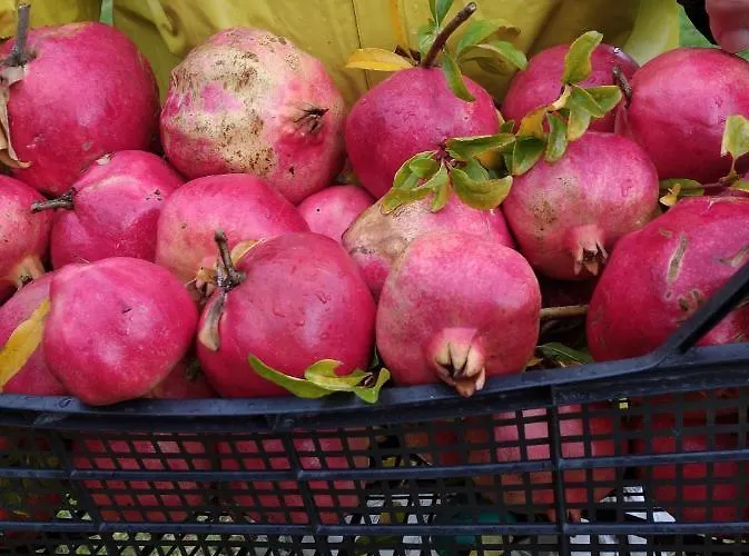 Secret Garden τemeni