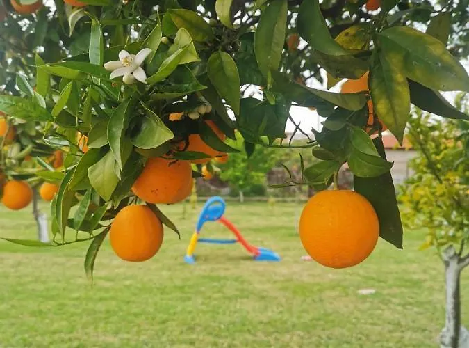 Apartamento Secret Garden τemeni *